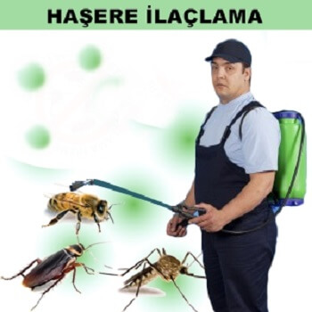 Gelibolu Böcek İlaçlama